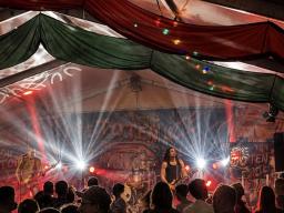 Toten Ärzte Konzert